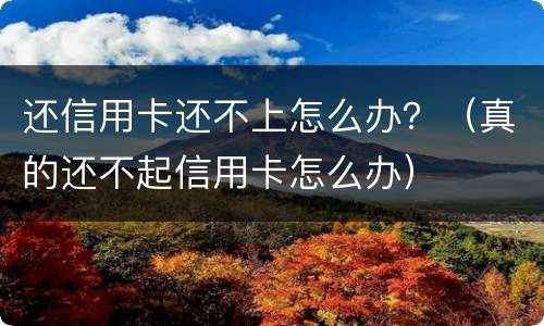 还信用卡还不上怎么办？（真的还不起信用卡怎么办）