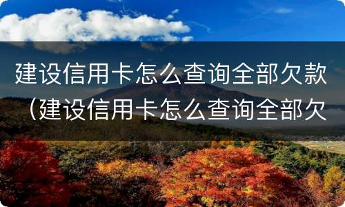 建设信用卡怎么查询全部欠款（建设信用卡怎么查询全部欠款金额）