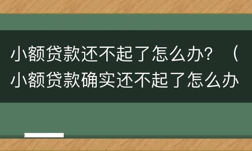 小额贷款还不起了怎么办？（小额贷款确实还不起了怎么办）