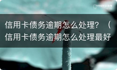 信用卡债务逾期怎么处理？（信用卡债务逾期怎么处理最好）