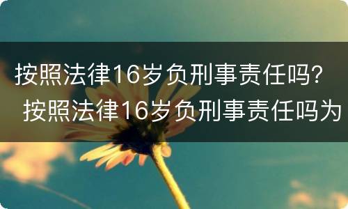 按照法律16岁负刑事责任吗？ 按照法律16岁负刑事责任吗为什么