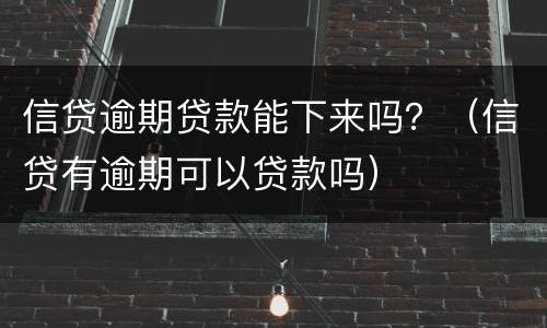 信贷逾期贷款能下来吗？（信贷有逾期可以贷款吗）