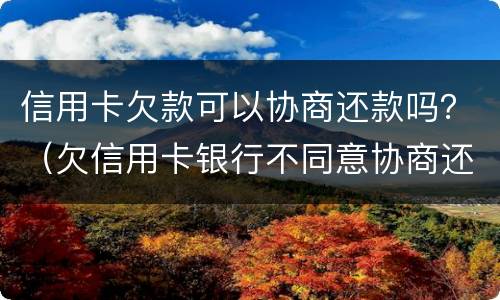 信用卡欠款可以协商还款吗？（欠信用卡银行不同意协商还款）