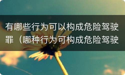 有哪些行为可以构成危险驾驶罪（哪种行为可构成危险驾驶罪?）