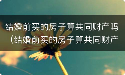 结婚前买的房子算共同财产吗（结婚前买的房子算共同财产吗知乎）