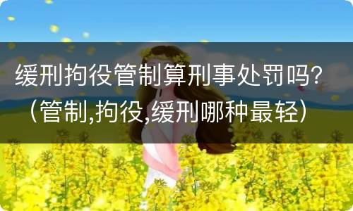 缓刑拘役管制算刑事处罚吗？（管制,拘役,缓刑哪种最轻）