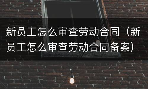 新员工怎么审查劳动合同（新员工怎么审查劳动合同备案）
