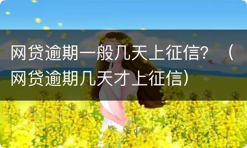 网贷逾期一般几天上征信？（网贷逾期几天才上征信）