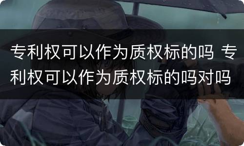专利权可以作为质权标的吗 专利权可以作为质权标的吗对吗
