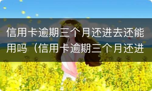 信用卡逾期三个月还进去还能用吗（信用卡逾期三个月还进去还能用吗）