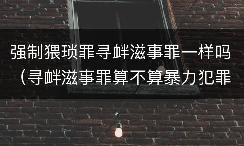 强制猥琐罪寻衅滋事罪一样吗（寻衅滋事罪算不算暴力犯罪）