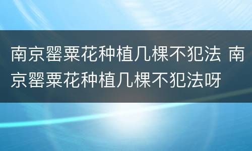 南京罂粟花种植几棵不犯法 南京罂粟花种植几棵不犯法呀