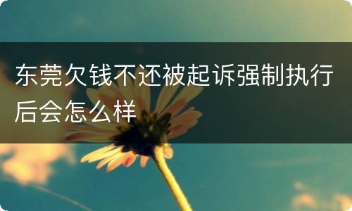 东莞欠钱不还被起诉强制执行后会怎么样