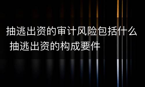 抽逃出资的审计风险包括什么 抽逃出资的构成要件