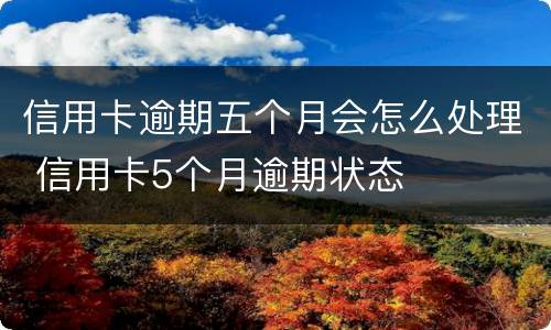 信用卡逾期五个月会怎么处理 信用卡5个月逾期状态