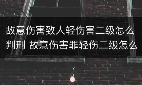 故意伤害致人轻伤害二级怎么判刑 故意伤害罪轻伤二级怎么判