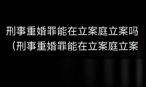 刑事重婚罪能在立案庭立案吗（刑事重婚罪能在立案庭立案吗）