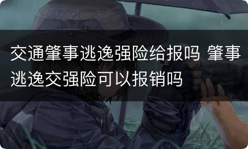 交通肇事逃逸强险给报吗 肇事逃逸交强险可以报销吗