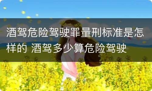 酒驾危险驾驶罪量刑标准是怎样的 酒驾多少算危险驾驶