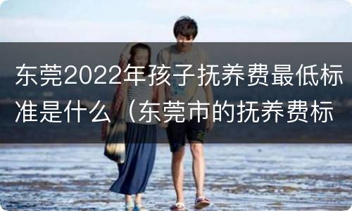 东莞2022年孩子抚养费最低标准是什么（东莞市的抚养费标准）