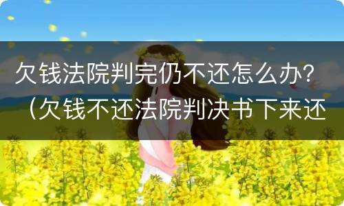 欠钱法院判完仍不还怎么办？（欠钱不还法院判决书下来还是不还怎么办）