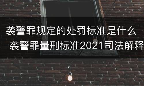 袭警罪规定的处罚标准是什么 袭警罪量刑标准2021司法解释