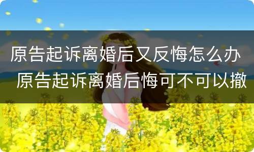 原告起诉离婚后又反悔怎么办 原告起诉离婚后悔可不可以撤诉