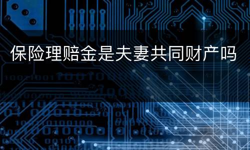 保险理赔金是夫妻共同财产吗