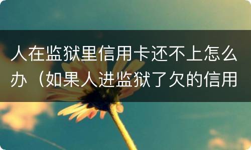 人在监狱里信用卡还不上怎么办（如果人进监狱了欠的信用卡怎么办）