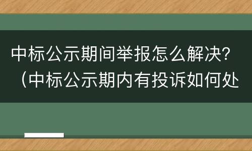 中标公示期间举报怎么解决？（中标公示期内有投诉如何处理）