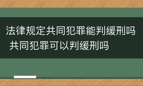 法律规定共同犯罪能判缓刑吗 共同犯罪可以判缓刑吗