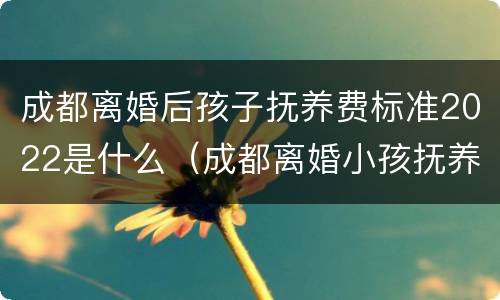 成都离婚后孩子抚养费标准2022是什么（成都离婚小孩抚养最低标准）