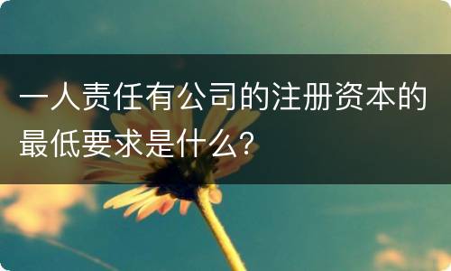 一人责任有公司的注册资本的最低要求是什么？