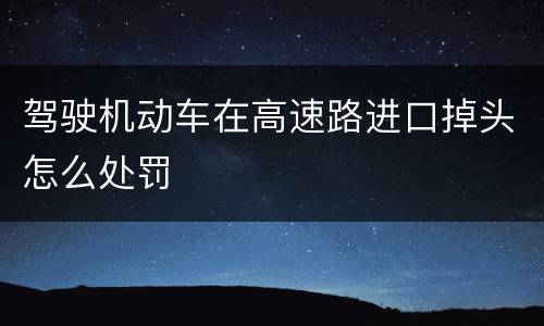 驾驶机动车在高速路进口掉头怎么处罚