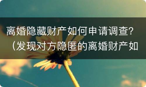 离婚隐藏财产如何申请调查？（发现对方隐匿的离婚财产如何申请）
