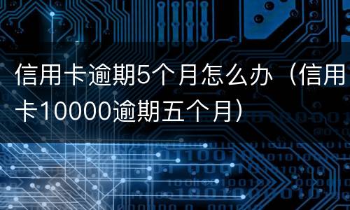 信用卡逾期5个月怎么办（信用卡10000逾期五个月）