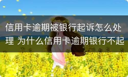 信用卡逾期被银行起诉怎么处理 为什么信用卡逾期银行不起诉