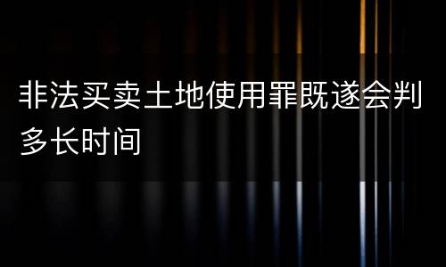 非法买卖土地使用罪既遂会判多长时间