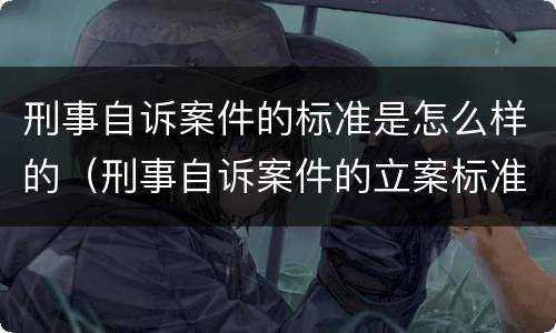 刑事自诉案件的标准是怎么样的（刑事自诉案件的立案标准与定罪标准）