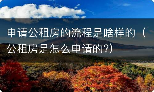 申请公租房的流程是啥样的（公租房是怎么申请的?）