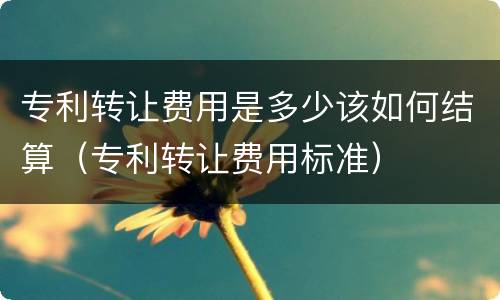 专利转让费用是多少该如何结算（专利转让费用标准）