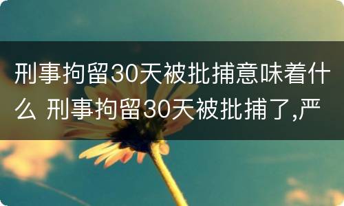 刑事拘留30天被批捕意味着什么 刑事拘留30天被批捕了,严重吗