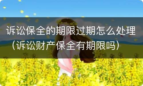 诉讼保全的期限过期怎么处理（诉讼财产保全有期限吗）