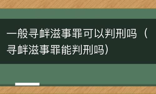 一般寻衅滋事罪可以判刑吗（寻衅滋事罪能判刑吗）