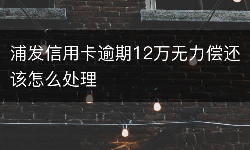 浦发信用卡逾期12万无力偿还该怎么处理