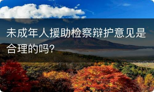 未成年人援助检察辩护意见是合理的吗？