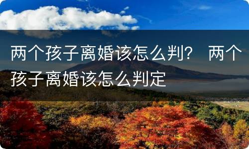两个孩子离婚该怎么判？ 两个孩子离婚该怎么判定