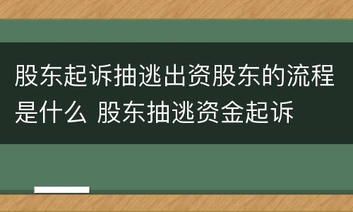 股东起诉抽逃出资股东的流程是什么 股东抽逃资金起诉