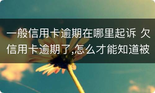一般信用卡逾期在哪里起诉 欠信用卡逾期了,怎么才能知道被起诉了