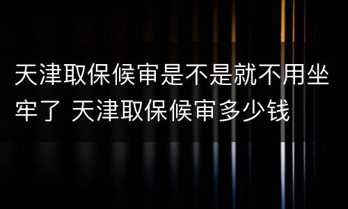 天津取保候审是不是就不用坐牢了 天津取保候审多少钱